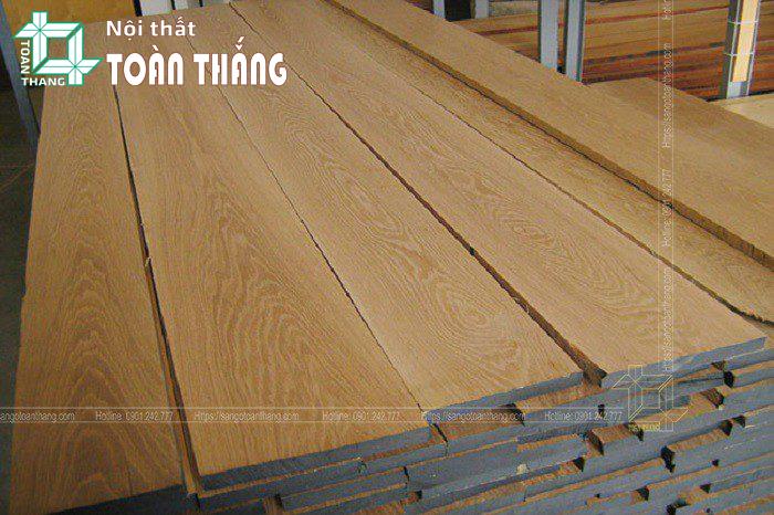 Đặc điểm sinh thái cây gỗ sồi Oak