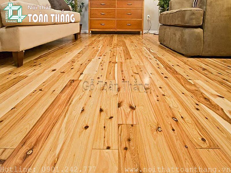 Sàn gỗ Thông có màu sắc tự nhiên ấm và vân gỗ đặc sắc